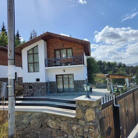Villa In Mountains Bakuriani Exterior foto