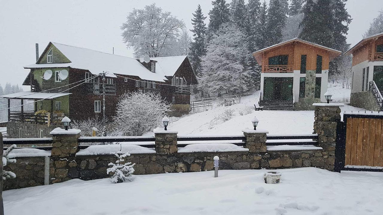 Villa In Mountains Bakuriani Exterior foto
