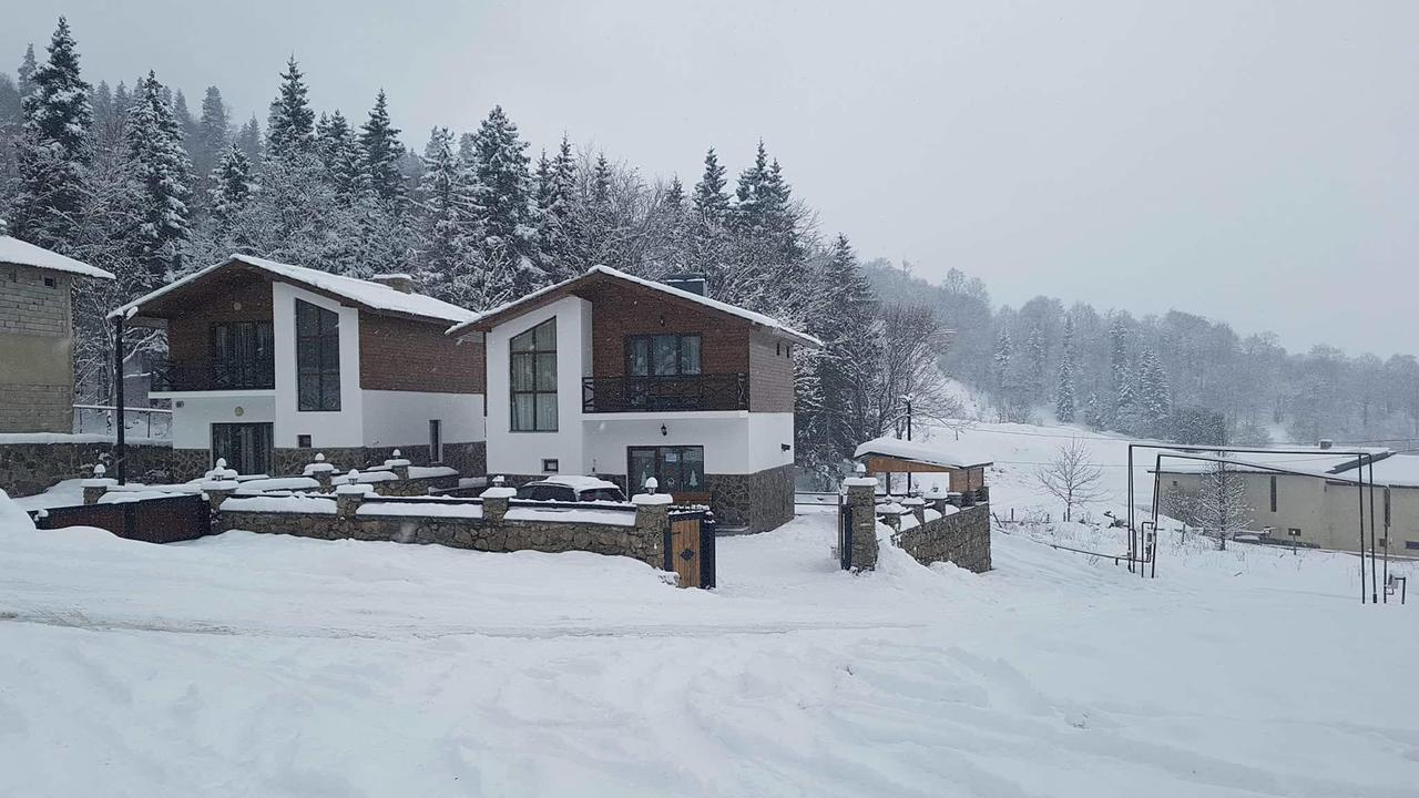 Villa In Mountains Bakuriani Exterior foto